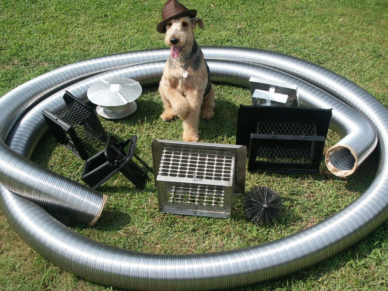 Buddy the dog sitting on the grass surrounded by chimney liners and caps